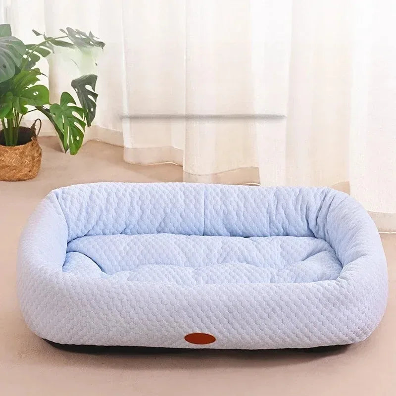 Cozy Pawy - ChillNest Lounge
